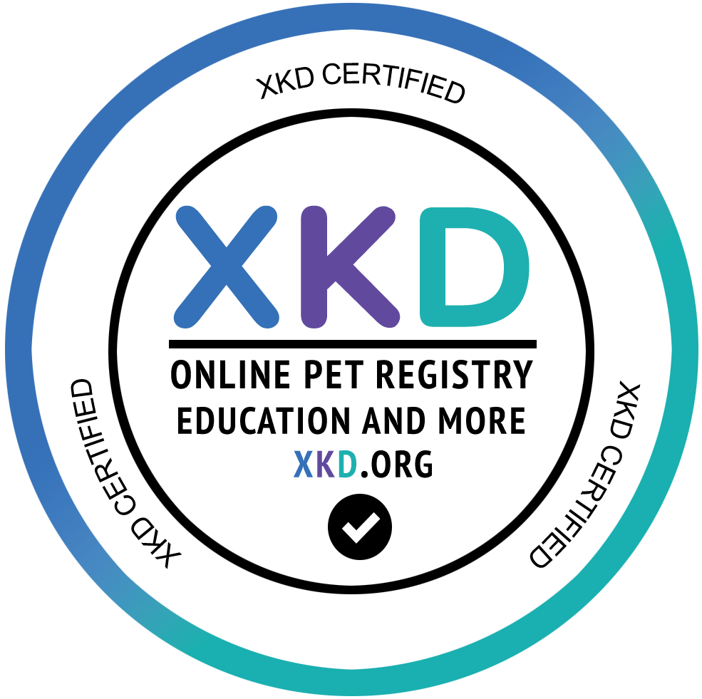 XKD.org Logo